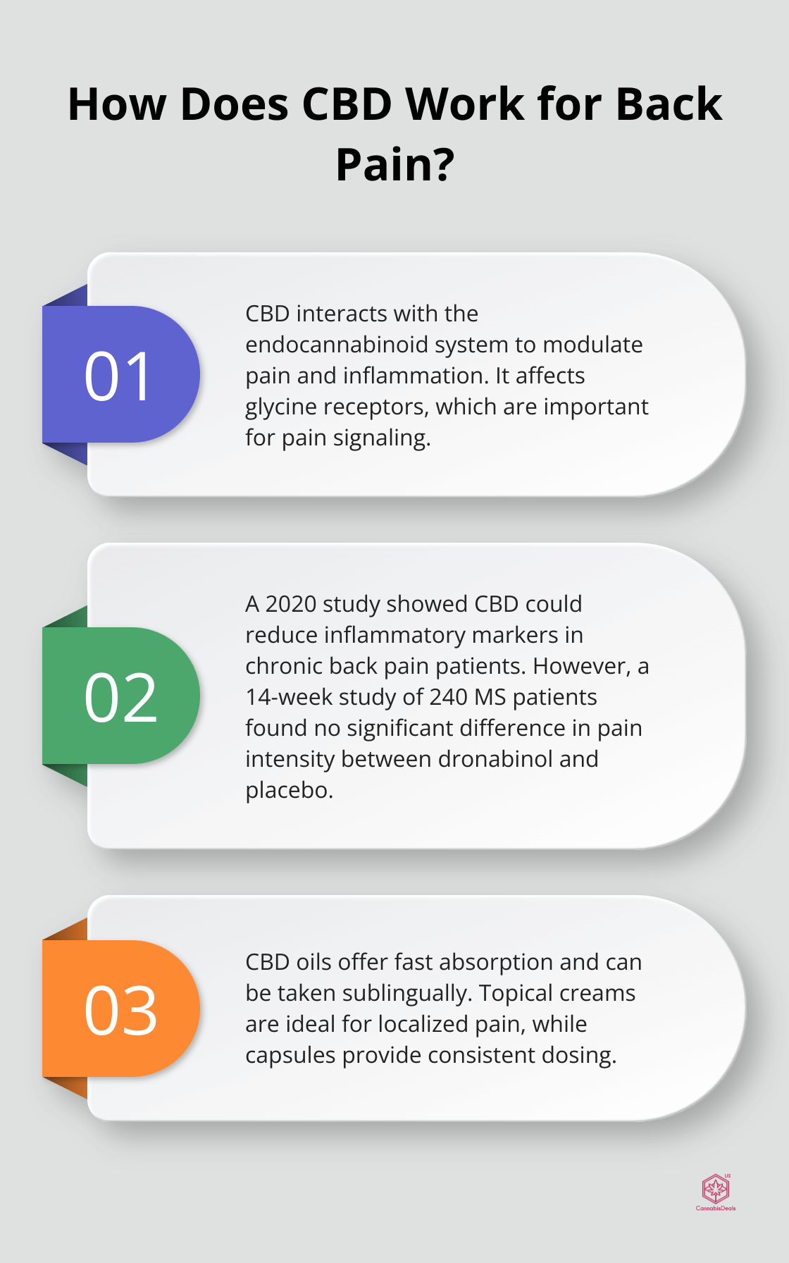 Fact - How Does CBD Work for Back Pain?
