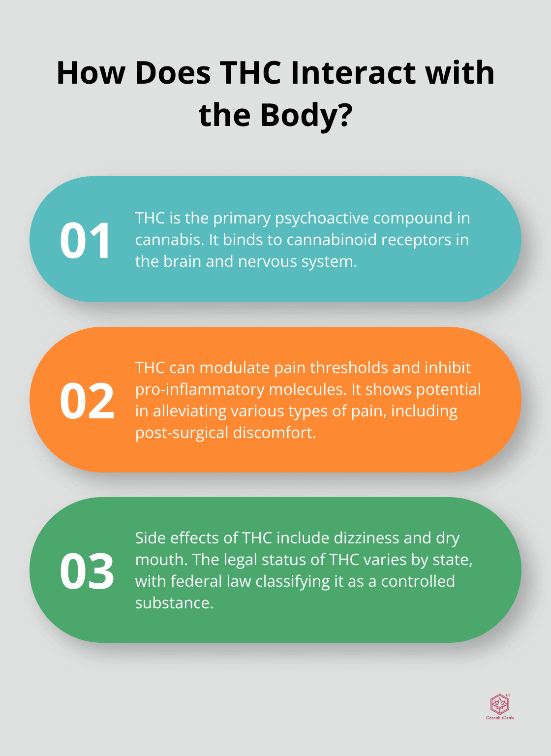 Fact - How Does THC Interact with the Body?