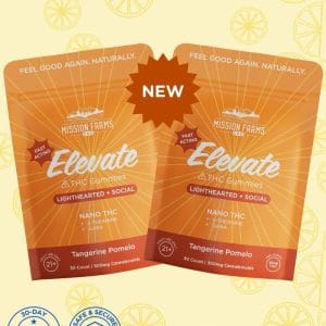 Elevate Delta-9 THC Gummies with Nano THC-PROMO - 60 count (2x 30 count): Tangerine Pomelo, 10mg THC/Gummy