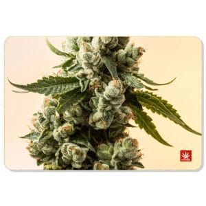 Stonerdays Rectangular Dab Mats - Macro Dab
