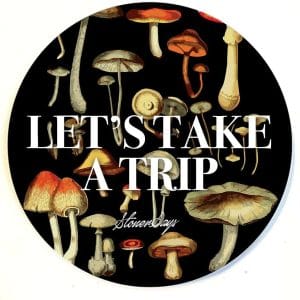 Stonerdays Round Dab Mats - Let's Take a Trip