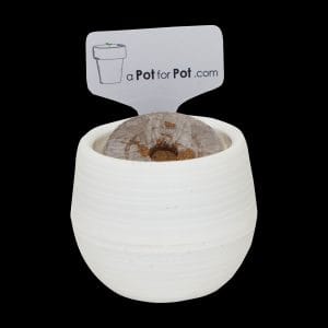 A Pot For Pot Seed Starting Kit