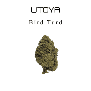 Bird Turd THCA Flower | Hybrid | 32% THCA (Copy)