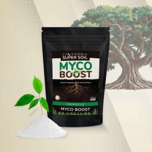 CaliSuperSoil Myco Boost