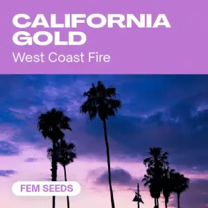 California Gold