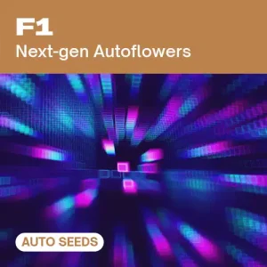 F1 AUTO