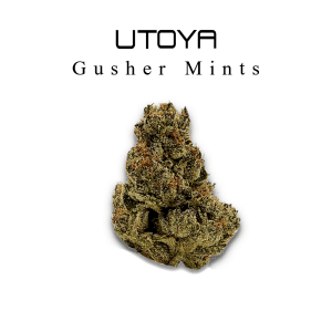 Gusher Mintz THCA Flower | Indica