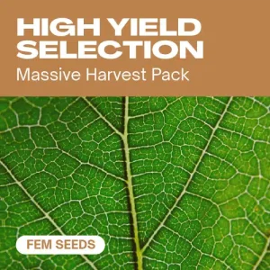 High Yield Selection Fem