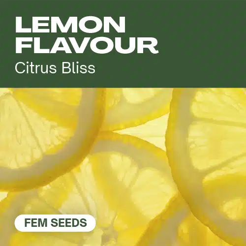 Lemon Flavour