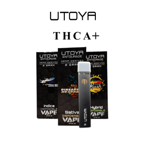 THCA+ Disposable Vapes | New Exclusive Blends