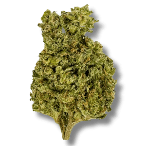 THCA Outdoor Flower - Cookie Mint - Indica