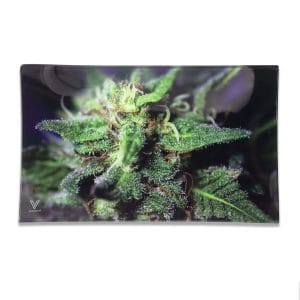 V-Syndicate Glass Rolling Trays - Medium / Blue Dream