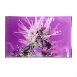 V-Syndicate Glass Rolling Trays - Medium / Pink Lemonade