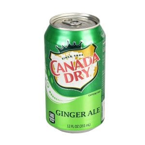 Soda Can Diversion Stash Safe - 12 fl.oz - Canada Dry Ginger Ale
