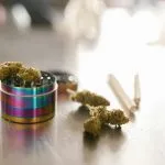 weed gear