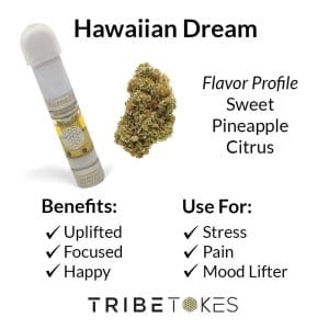 Sweet pineapple citrus vape for happiness