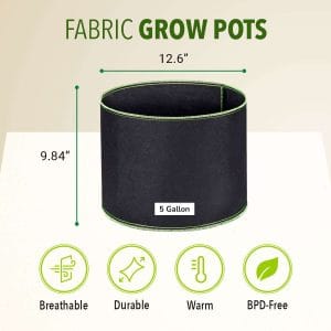 Fabric Pot (5 Gallon)