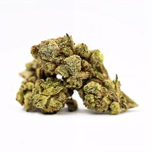 Gelato Haze Flower - Hybrid - THCA