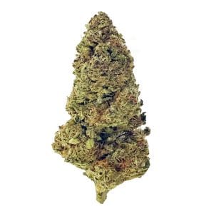 Glitter Bomb Flower - Indica - THCA