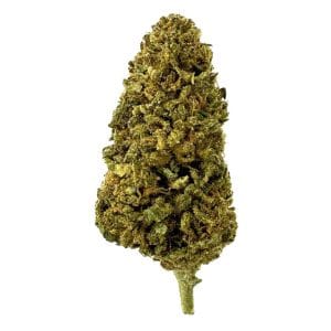 Illuminati Flower - Hybrid - THCA