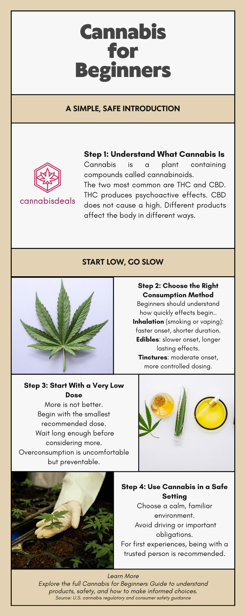 Infographic explaining cannabis basics for beginners, including what cannabis is, how it affects the body, safe consumption methods, starting with low doses, and using cannabis in a comfortable, familiar setting.