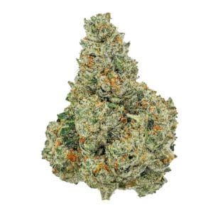 Jet Fuel Gelato Flower - THCA - Sativa