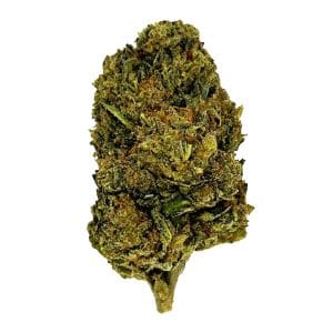 OG Plus (O+) Flower - Hybrid - THCA