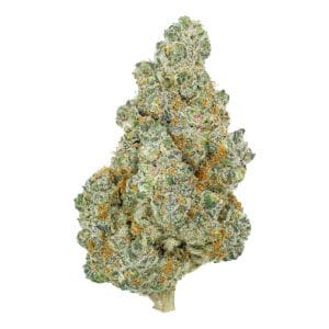 Orange Push Pop Flower - THCA - Hybrid