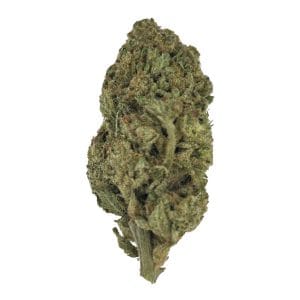 Pink Candy Flower - THCA - Sativa