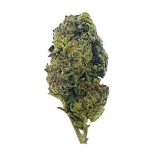 Silver Haze Flower - THCA - Sativa