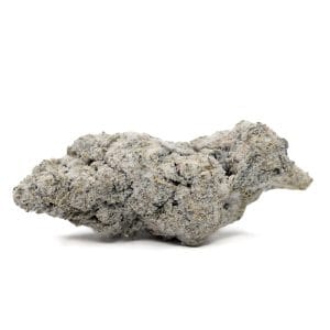 Snowflake Flower - Hybrid - THCA