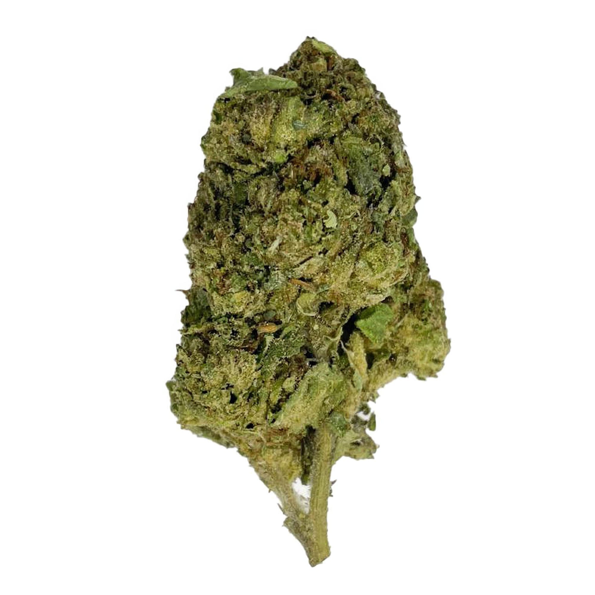 Tropicana Flower - THCA - Sativa