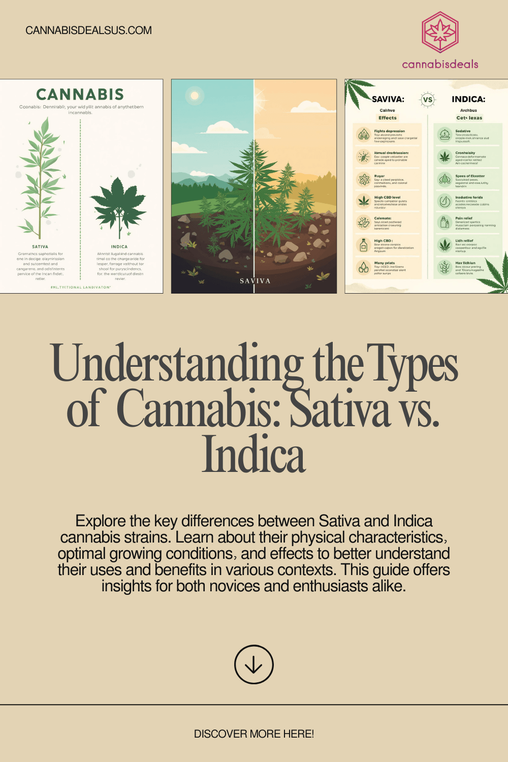 Sativa vs indica cannabis types comparison showing energizing and relaxing effects for beginners 