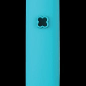 Vaprcase PAX 2 Case