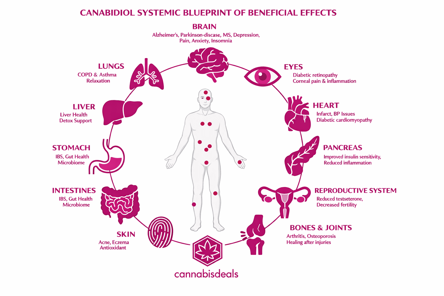 CannabisDeals infographic showing how cannabidiol (CBD) interacts with different systems of the human body, including brain, heart, immune system, and joints