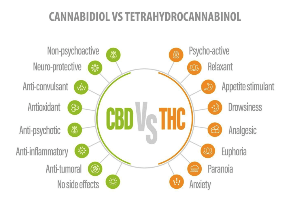 Abstract visual comparison of THC and CBD highlighting psychoactive and non psychoactive differences