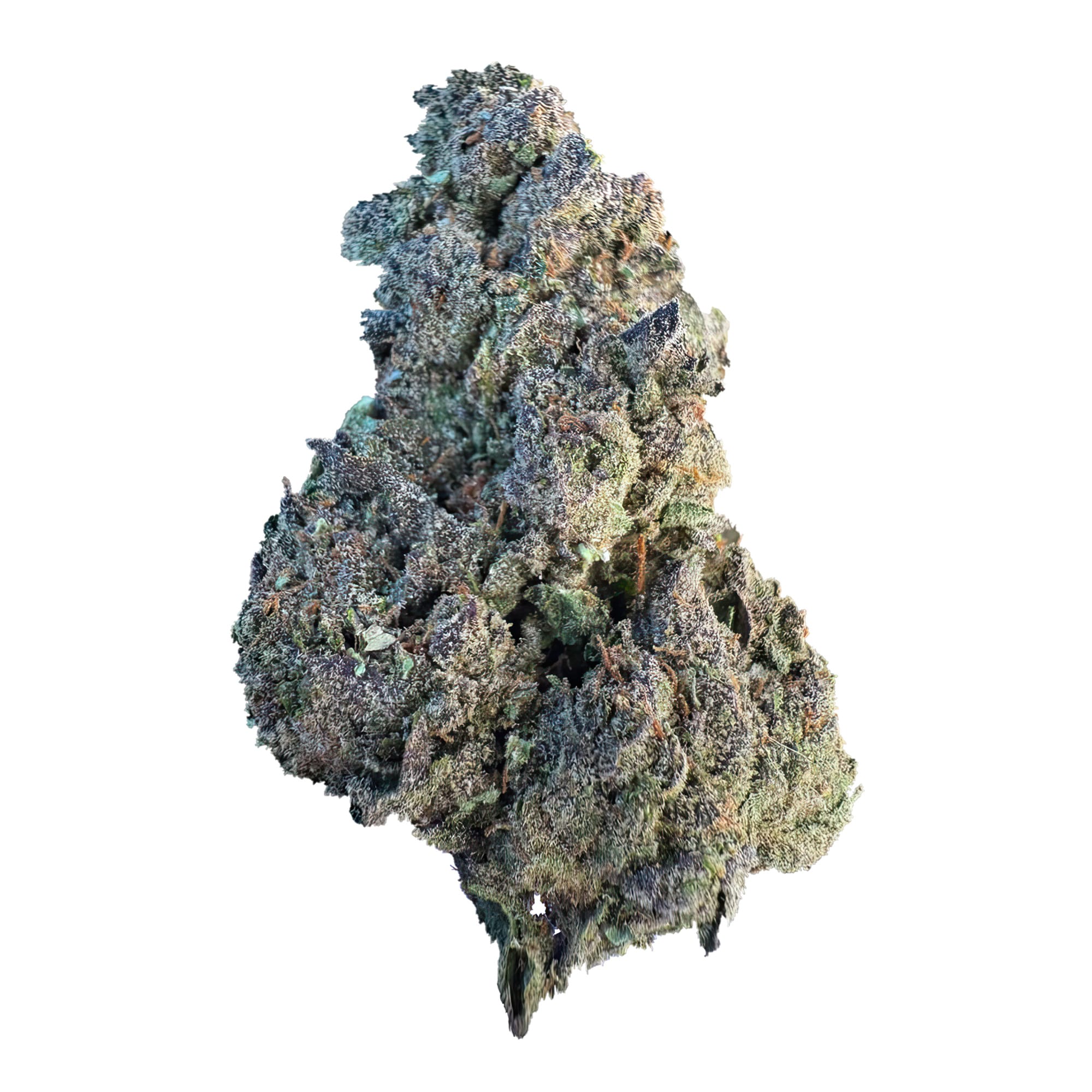 Black Cherry Soda Flower - THCA - Hybrid