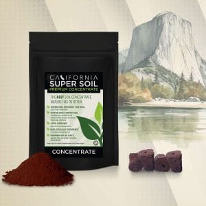 Concentrate Super Soil 3.5lbs