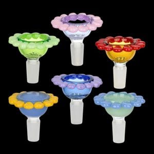 Spring Flowers Herb Slide - 6pc Set