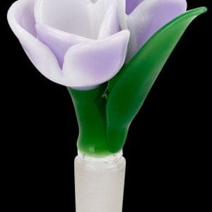 Tulip Herb Bowl