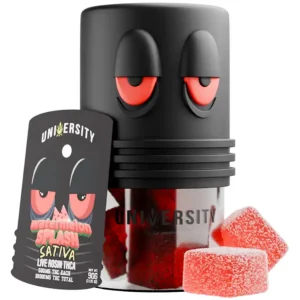 Watermelon Splash University THCA Live Rosin Gummies 10G