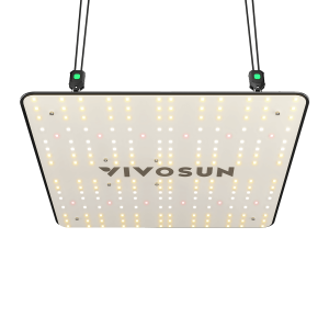 VS1000 LED Grow Light with Samsung LM301 Diodes & Sosen Driver Dimmable Lights Sunlike Full Spectrum for Indoor Plants Seedling Veg and Bloom Plant Gr