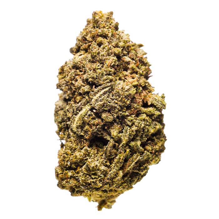 Banana Runts White THCA Flower 1