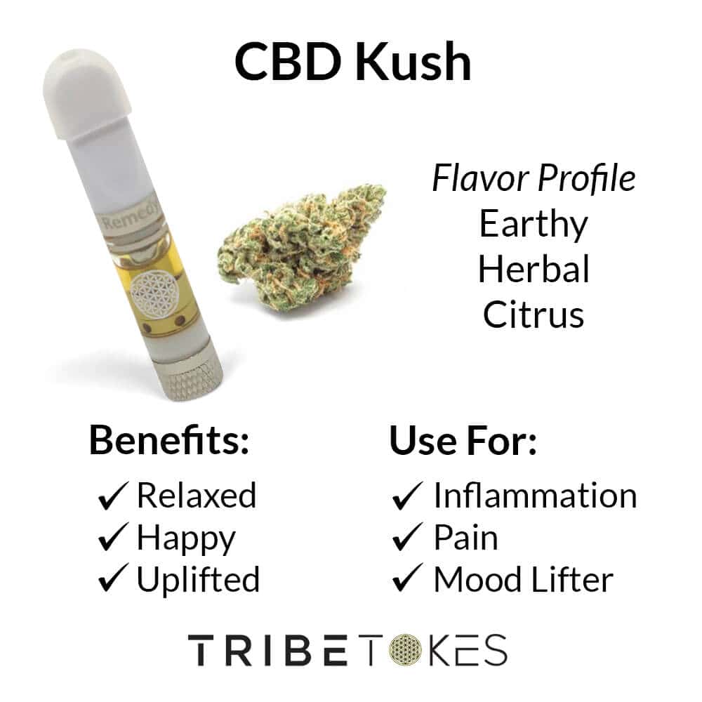 CBD Kush Strain Profile 2 5