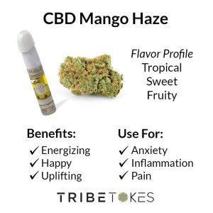 CBD Mango Haze Strain Profile