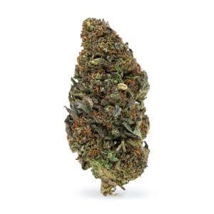 Cosmic Cookie (CBD) - 14g