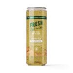 D9 Nano Ginger Ale THC Seltzer - 100mg - Fresh