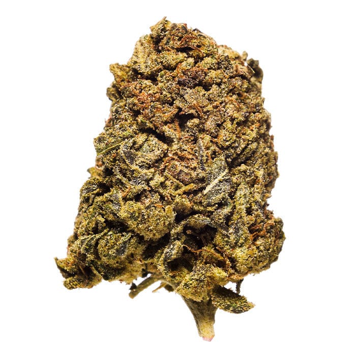 Grandaddy Purp White THCA Flower 2