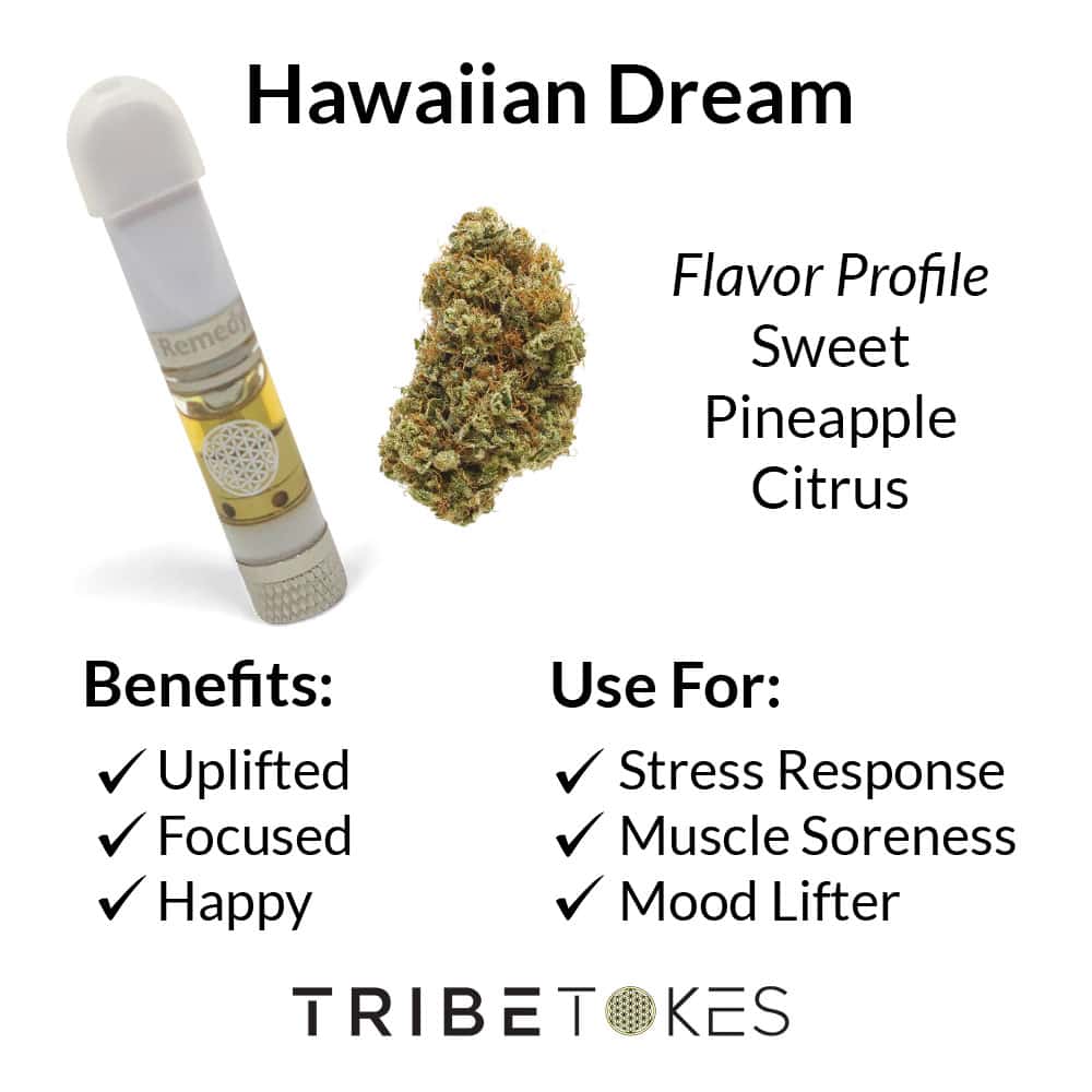 Hawaiian Dream Strain Profile 3