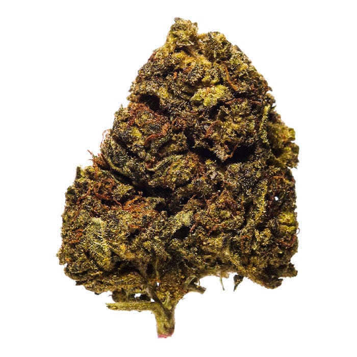 Jamaican Lion White THCA Flower 1